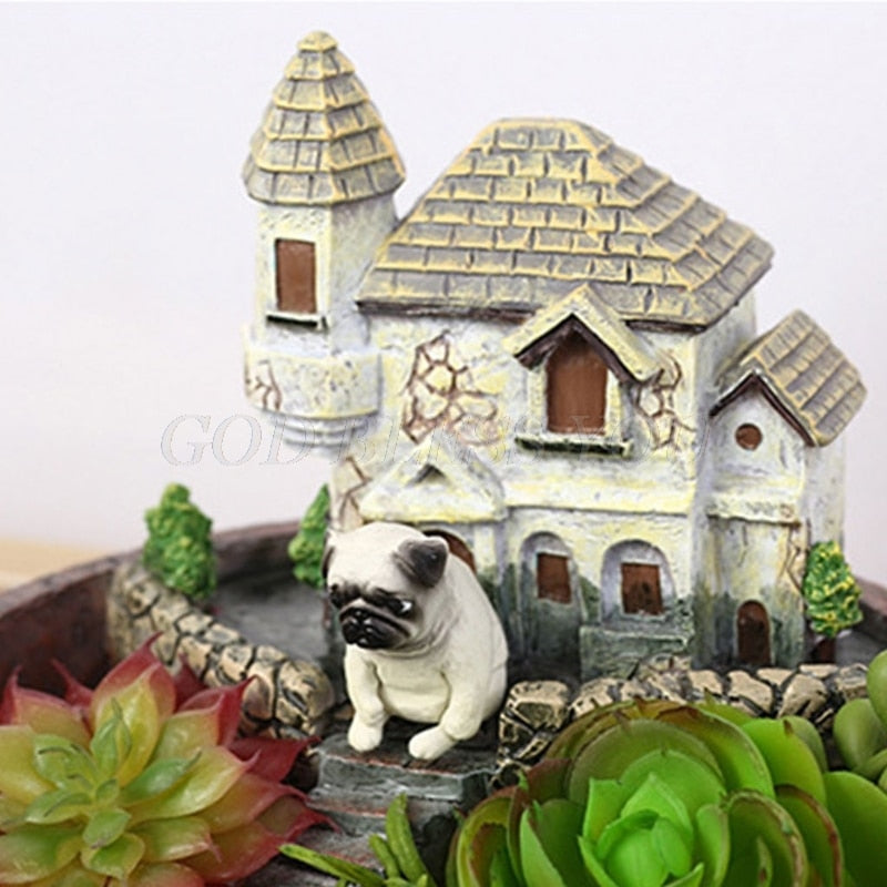 Succulent Mini House Pots Collection