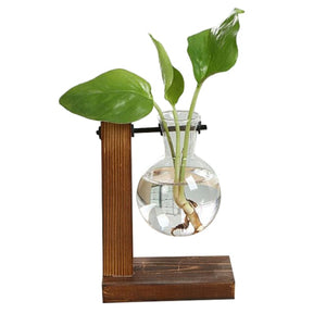 Terrarium Bulb with Vintage Wooden Stand