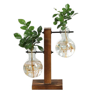 Terrarium Bulb with Vintage Wooden Stand