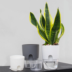 Load image into Gallery viewer, Self Watering Plant Pots
