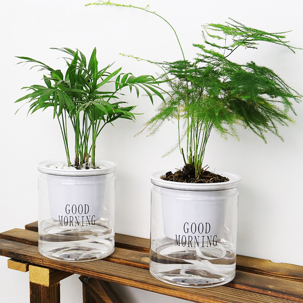 Self Watering Plant Pots