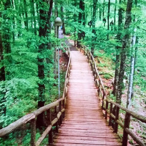 Treetop Bridge Tapestry