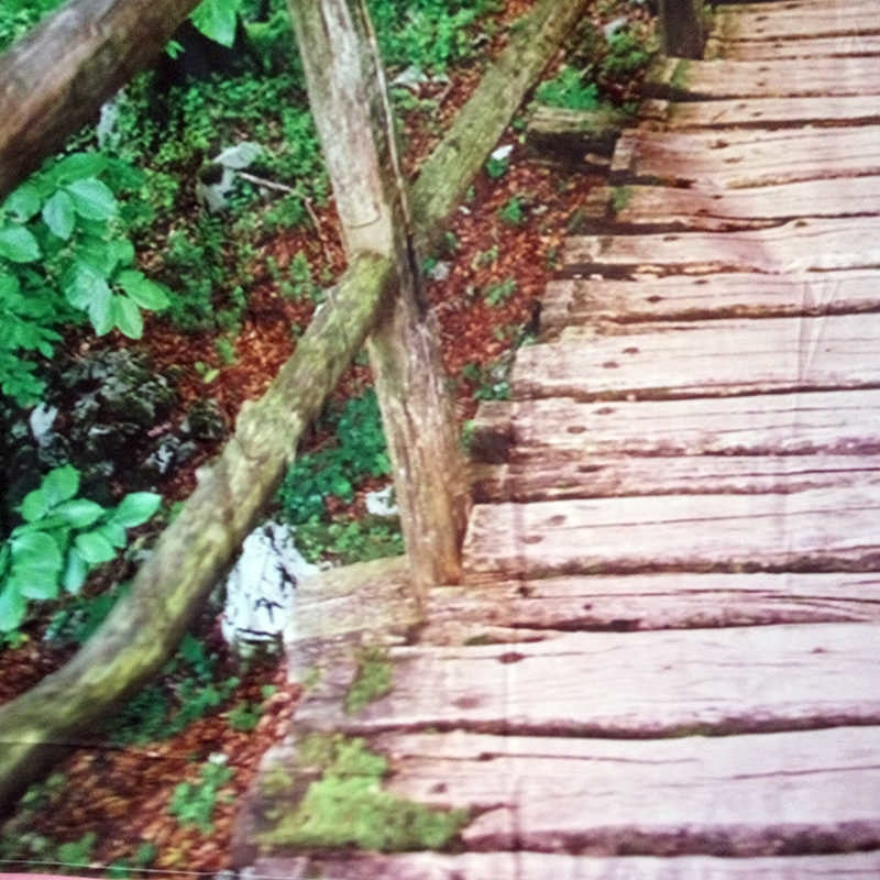 Treetop Bridge Tapestry